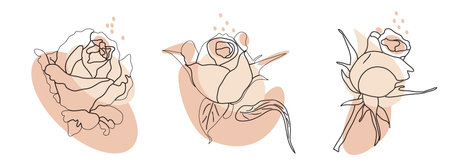 a modern decorative set of flowers of roses. hand, isolated elements on a white background. vector illustration for print, paper, your ideas. art lineのイラスト素材