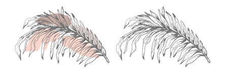 set of modern tropical, exotic leaves palm in a realistic style. hand-drawn element isolated on a white background. for card, print, textile, art vintage style. vector illustratioのイラスト素材