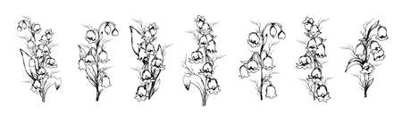 hand-drawn set with Lily of the valley flowers, primroses. realistic element in black, white. Botanical sketch for print, decoration, decor, Wallpaper. vintage styleのイラスト素材