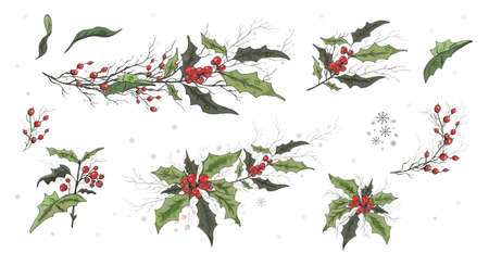 A set of winter berries (Holly, Sorbus aucuparia), isolated on a white background. realistic branches, hand-drawn, with water drops. decorations for seasonal postcard, poster, print, holidays. Vintage styleのイラスト素材