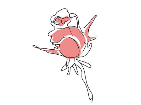 a modern decorative flower of rose. hand, isolated element on a white background. vector illustration for print, paper, baner, card, holiday your ideas. art one line.のイラスト素材