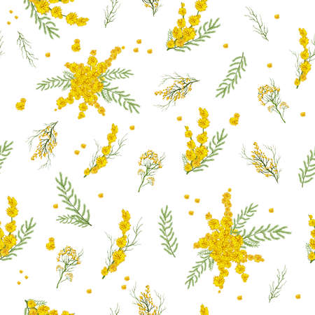 realistic seamless pattern with yellow mimosa flowers. a hand-drawn botanical pattern in a minimalist style. spring art wallpaper for print, paper. modern art illustration.の写真素材