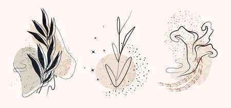 a set of abstract elements: a tropical flower, a leaf, a figure. hand-drawn organic line, dot. isolated banner inside. minimalism, boho art style. for paper, print, banner, postcard. vector illustrationのイラスト素材