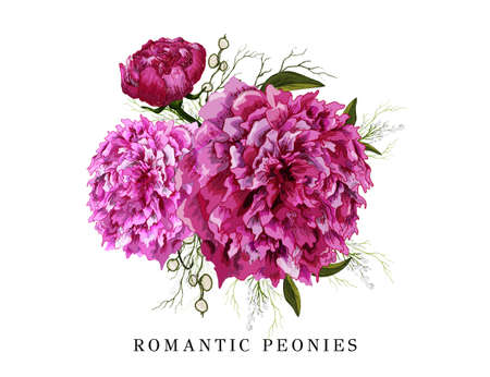 romantic elements, pink flower, peony branch. hand-drawn object in realistic style. modern details isolated on a white background. for print, banner, card, holiday. art vintage styleのイラスト素材