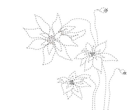 Continuous drawing with one line. The concept of the holiday, a bouquet of poinsettia flowers isolated on a white background. hand-drawn close-up. for print, banner, postcard, paper, poster. vector art illustrationのイラスト素材