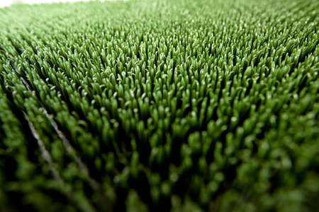 Green grass close upの写真素材
