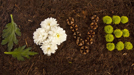 Environmental Love written in flowers and shells on soil.の写真素材