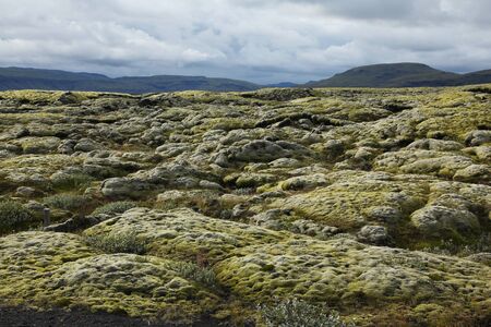 Unusual Icelandic landscape with volcanic stones with mossの写真素材
