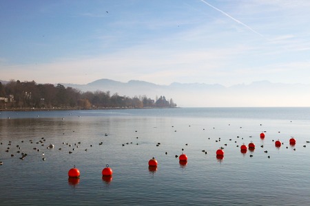 The shore of Lake Geneva in spring