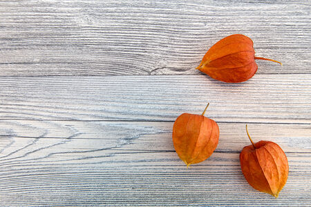 Three physalis on a wood boardの写真素材