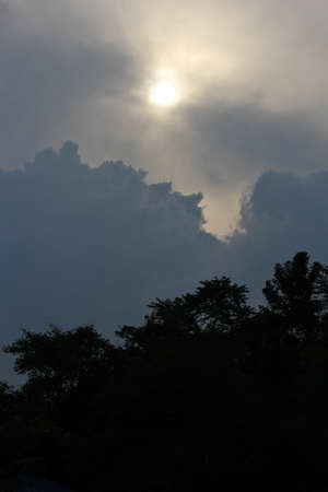 sunshine in the eveningの写真素材