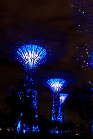 garden by the bay , the most beautiful garden in singaporeのeditorial素材
