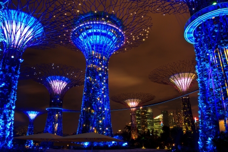 garden by the bay , the most beautiful garden in singaporeのeditorial素材