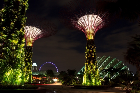 garden by the bay , the most beautiful garden in singaporeのeditorial素材