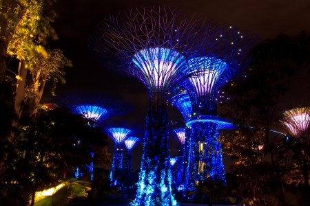 garden by the bay , the most beautiful garden in singaporeのeditorial素材