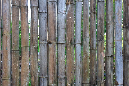 Bamboo Wall Textureの写真素材