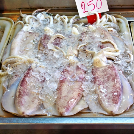 Fresh squids in the marketの写真素材