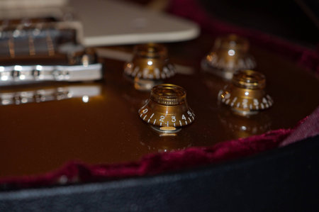 a Electric Guitar