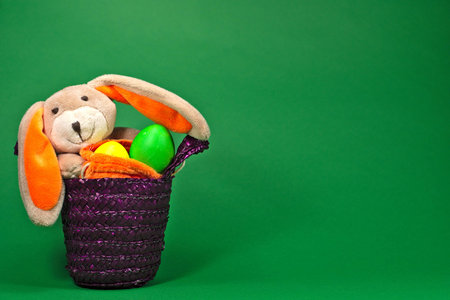 a Easter Bunny
