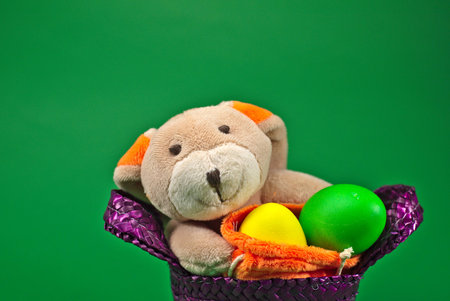 a Easter Bunnyの写真素材