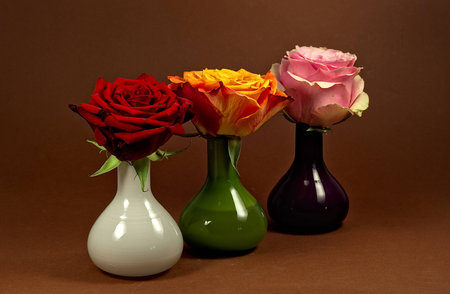 Thre Rosesの写真素材