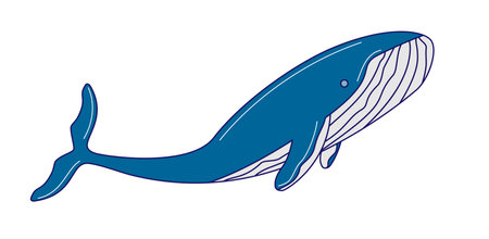 handdraw cartoon blue whale illustrationのイラスト素材