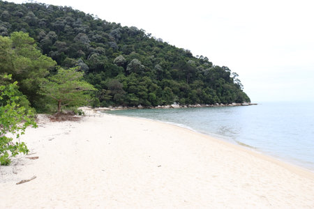 Nature on an island in Asiaの写真素材