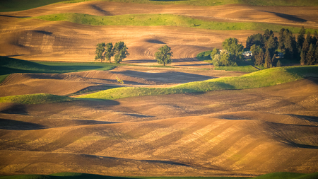Crop duster completes a turn over The Palouse at sunrise