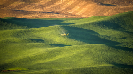 Crop Duster dropping pesticide on a wheat field in The Palouse at sunriseの写真素材