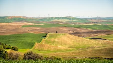 Wind power on The Palouseの写真素材