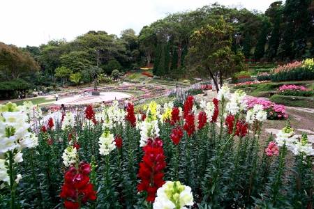 Mae Fah Luang Chiangのeditorial素材