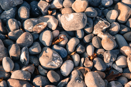 Stones photographed in Sweden in Autumn. They are mixed with some fallen leaves