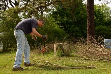 Man cutting bundle of twig branches in yardwork, side viewの写真素材