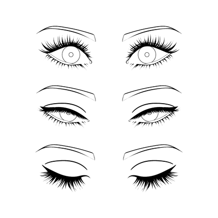Female eyes outline. open, closed half-open eyesのイラスト素材