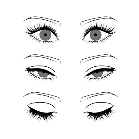 Female eyes outline. open, closed half-open eyesのイラスト素材