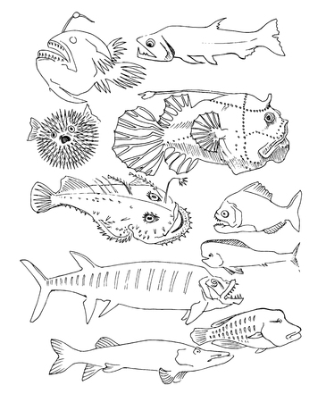 deep-sea fish. hand drawnのイラスト素材