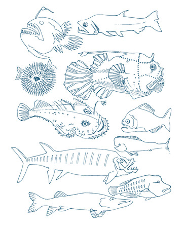 deep-sea fish. hand drawnのイラスト素材