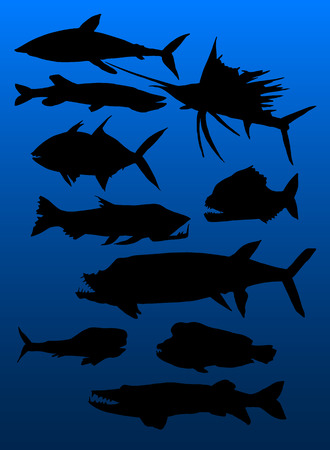 set of predatory fishのイラスト素材
