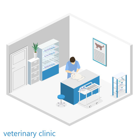 Flat 3D illustration Isometric interior of veterinary clinic. The veterinarian treats the petのイラスト素材