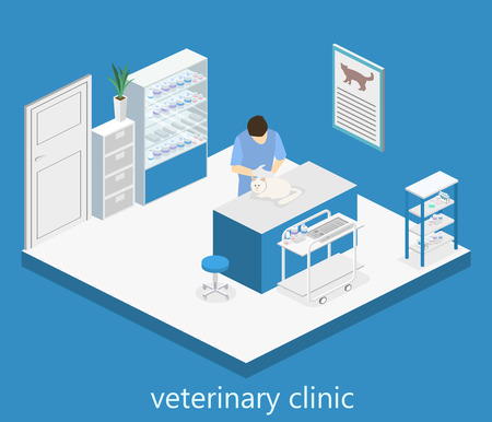 Flat 3D illustration Isometric interior of veterinary clinic. The veterinarian treats the petのイラスト素材
