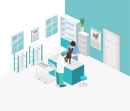 Flat 3D illustration Isometric interior of veterinary clinic. The veterinarian treats the petのイラスト素材
