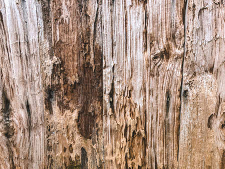 wood plank texture background in orange colorの写真素材