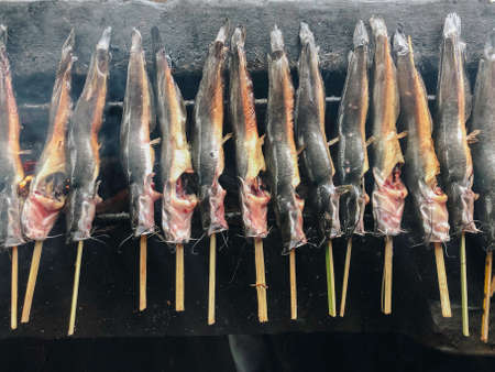 Cat fish barbecue grilled on hot charcoal stove in traditional way in Yogyakarta, Indonesia or normally called Mangut lele.の写真素材