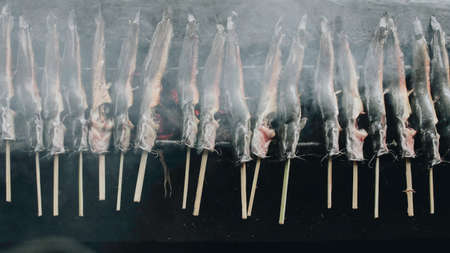 Cat fish barbecue grilled on hot charcoal stove in traditional way in Yogyakarta, Indonesia or...