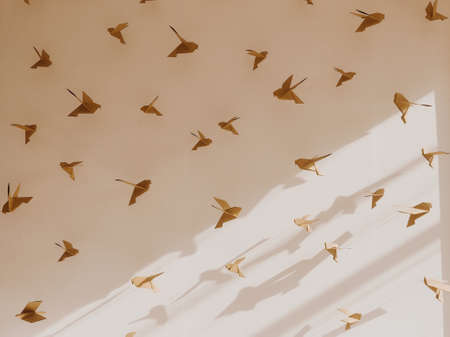 Bird origami in white Wall backgroundの写真素材
