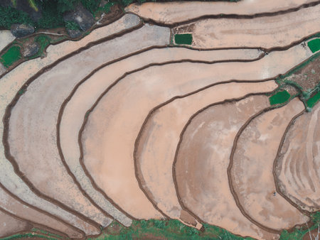 Aerial view of rice field. Farmer cultivating rice field in Gunung Kidul Indonesia. Rice production and Agriculture Conceptの写真素材
