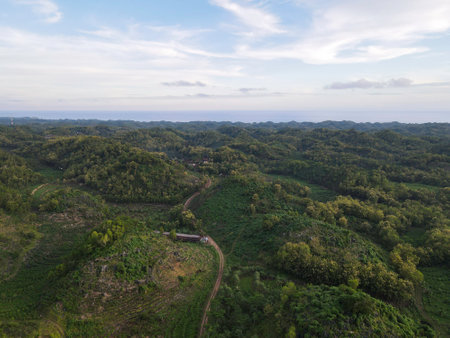 Aerial view of green valley in Gunung Kidul, Indonesia.の写真素材