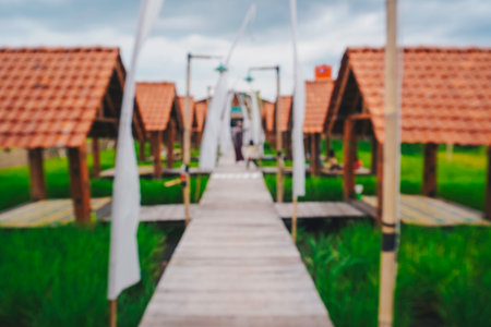 defocused abstract background of gazebo in rice field