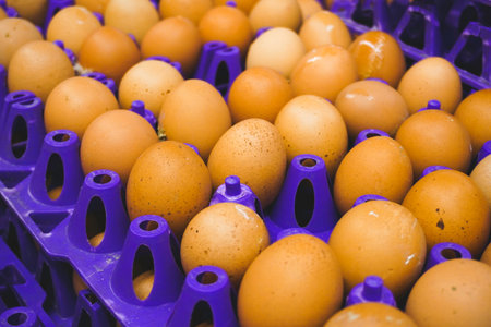 Brown or raw chicken eggs in the yellow egg tray cardboard with room for the eggs, pile egg on box,...