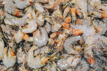 fresh frozen shrimp, Litopenaeus Vannamei for imports and exports.の写真素材